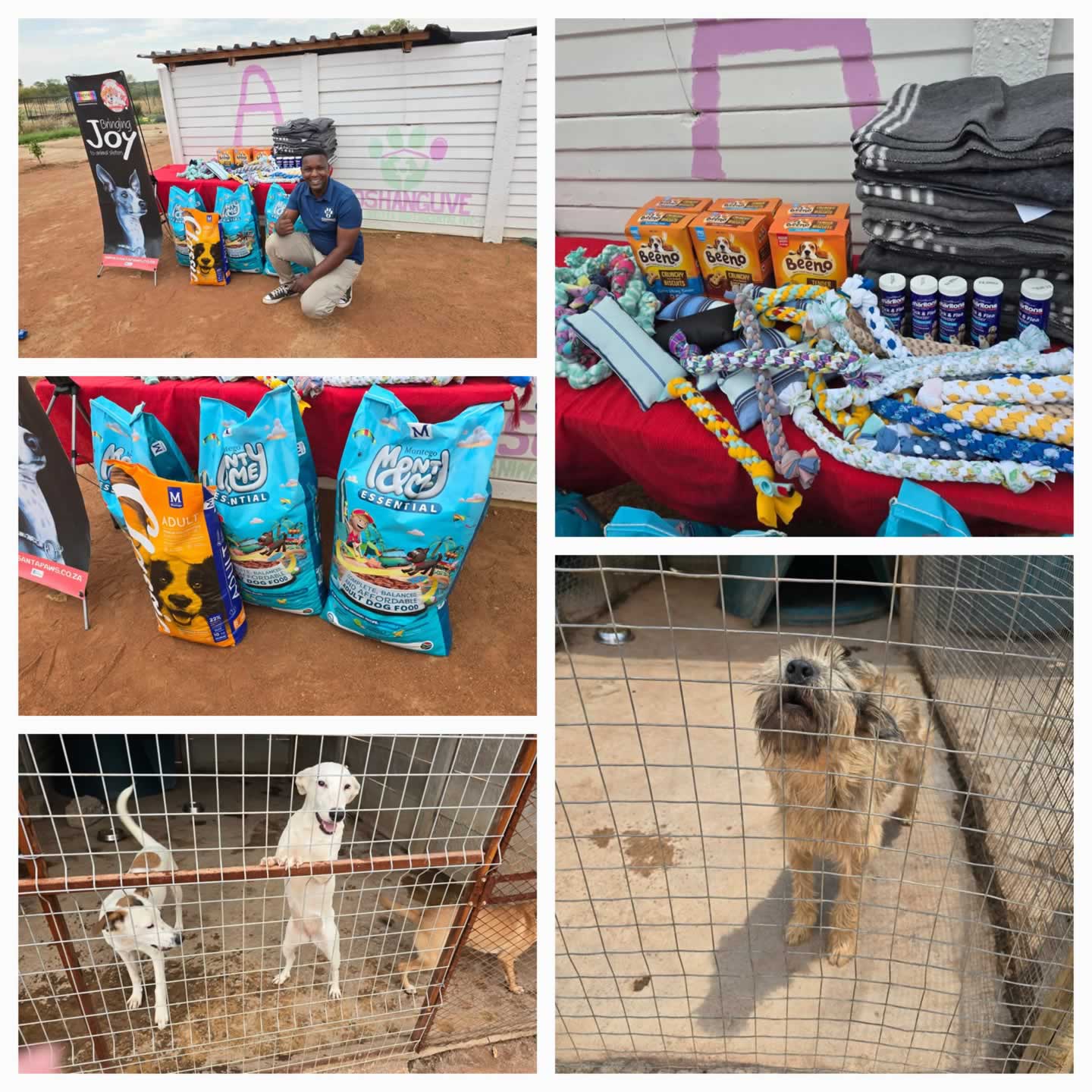 Soshanguve Animal Shelter & Educenter NPC